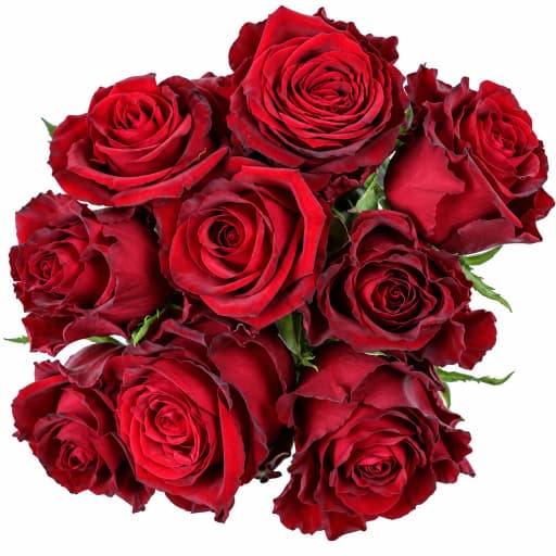 Rose naomi Роза одноголовая