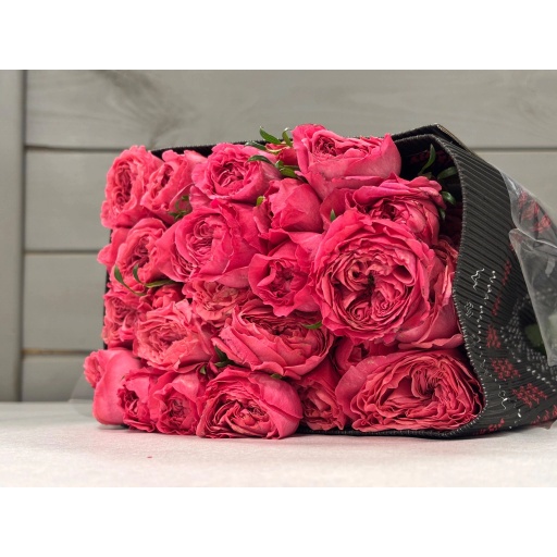 BOOMERANG Роза кустовая Эквадор