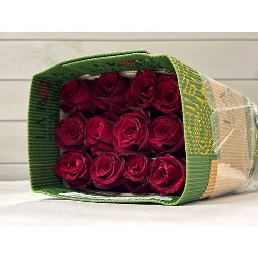 EXPLORER Роза одноголовая Эквадор