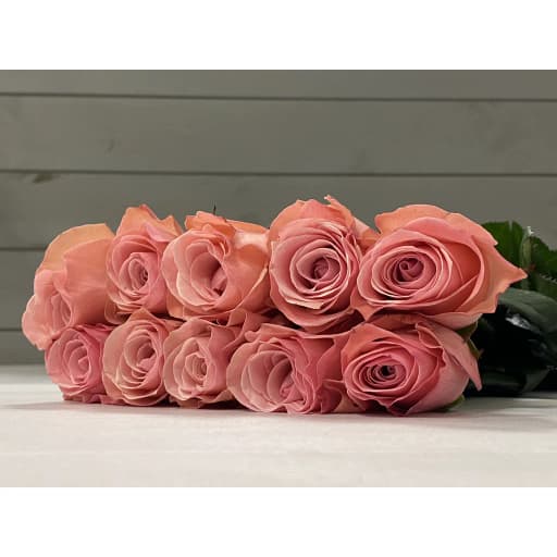Rose hexian Роза одноголовая