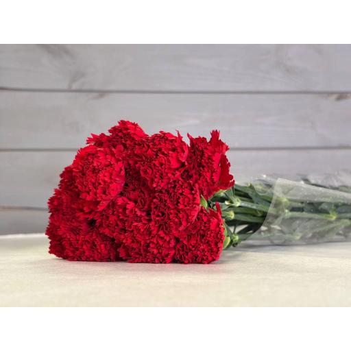 Hongfu Red А+ Гвоздика