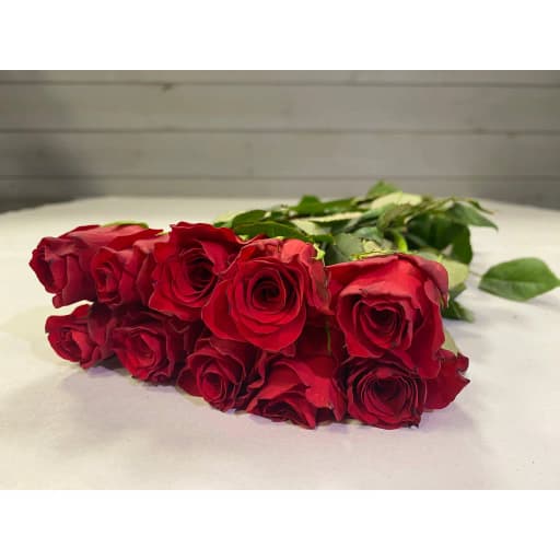 Rose royal explorer Роза одноголовая