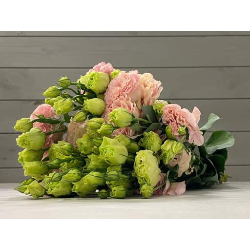 Lisianthus light pink Эустома