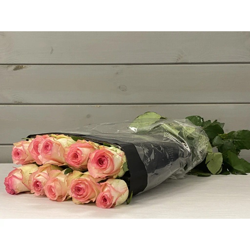 One Head Jumilia Роза одноголовая