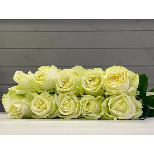 Rose athena Роза одноголовая