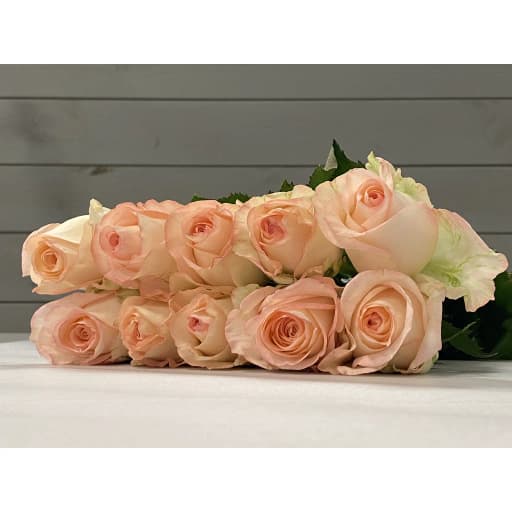 Rose hazel Роза одноголовая