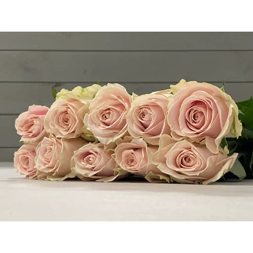 Rose pink avalanche Роза одноголовая
