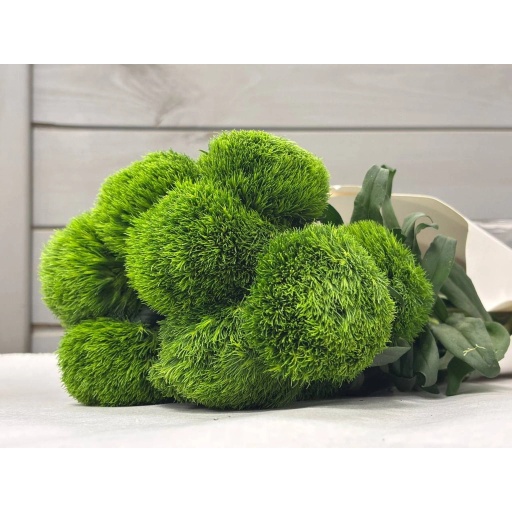 Green Trick Гвоздика